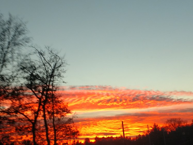 IMG_20171127_165137548