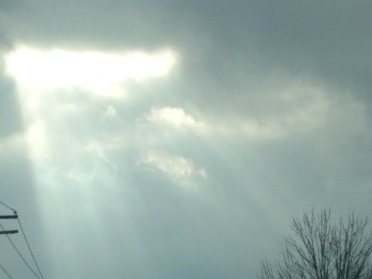 IMG_20180315_170822761[1]