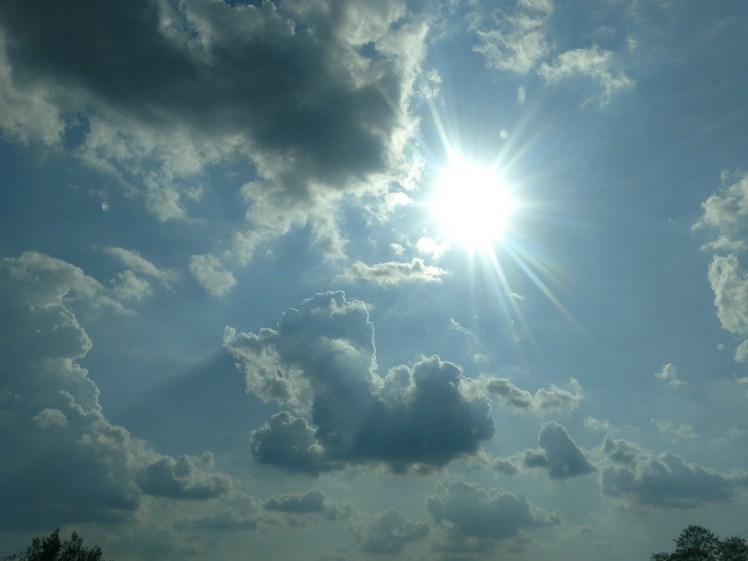 IMG_20180529_172548782[1]