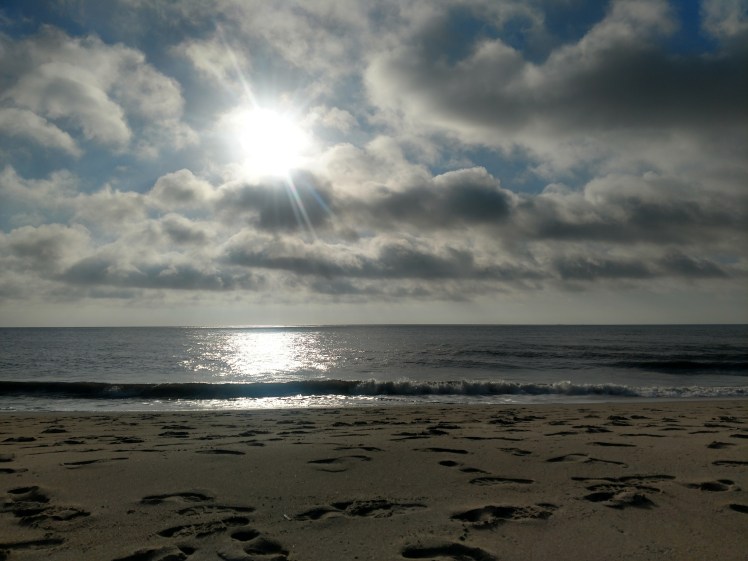 IMG_20180802_074200046_HDR[1]