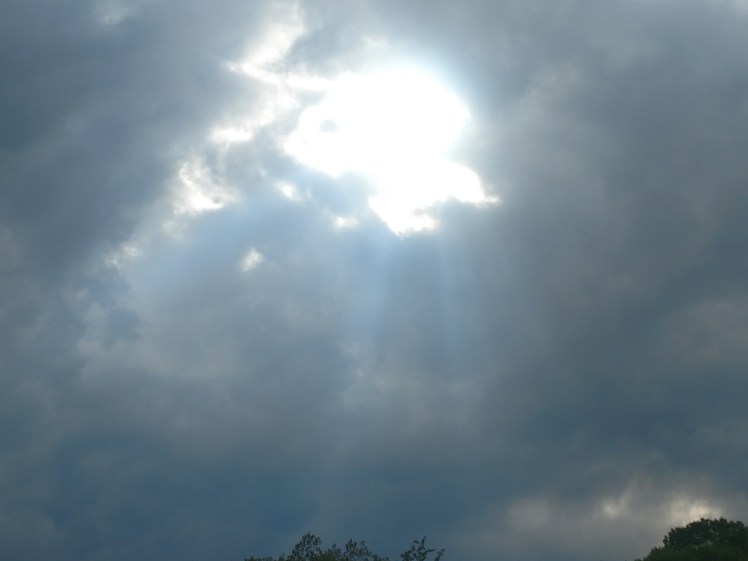 IMG_20190517_164855918