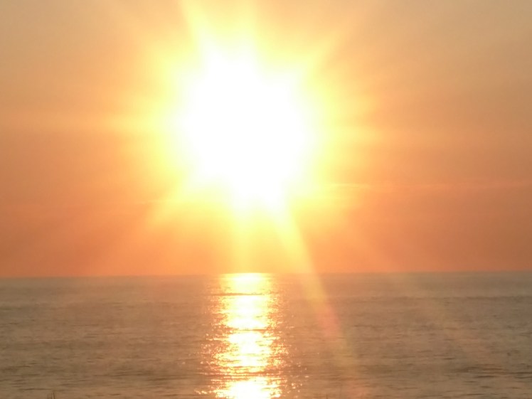 IMG_20190725_061700218