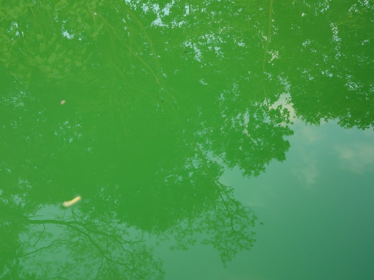 IMG_20200611_071042409