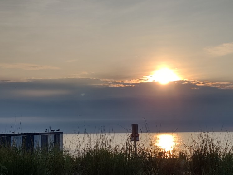 IMG_20200723_063013832_HDR